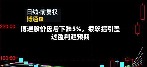 博通股价盘后下跌5%，疲软指引盖过盈利超预期-第2张图片