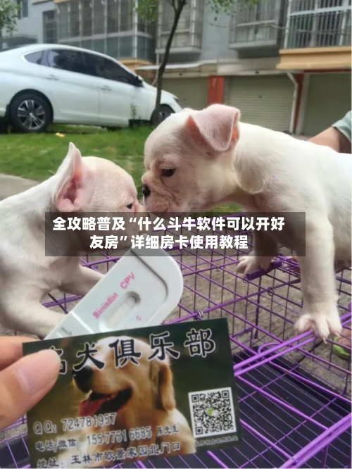 全攻略普及“什么斗牛软件可以开好友房”详细房卡使用教程