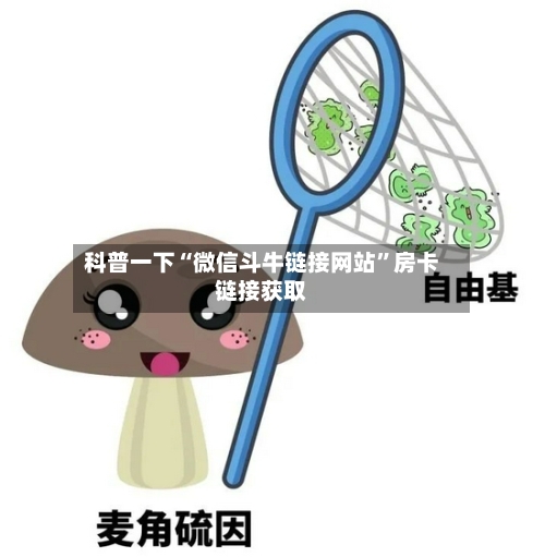 科普一下“微信斗牛链接网站”房卡链接获取-第2张图片