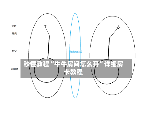 秒懂教程“牛牛房间怎么开”详细房卡教程