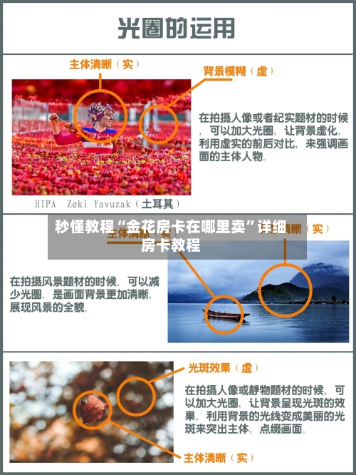 秒懂教程“金花房卡在哪里卖”详细房卡教程-第2张图片
