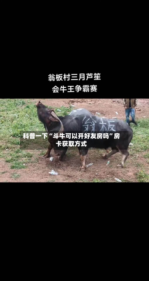 科普一下“斗牛可以开好友房吗”房卡获取方式-第3张图片