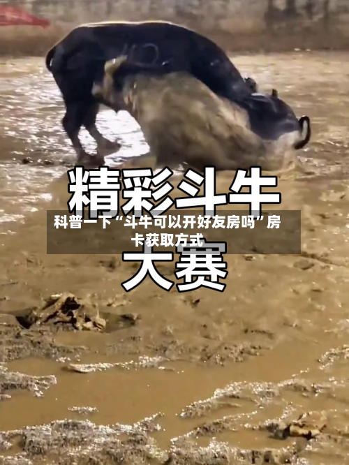 科普一下“斗牛可以开好友房吗”房卡获取方式-第2张图片