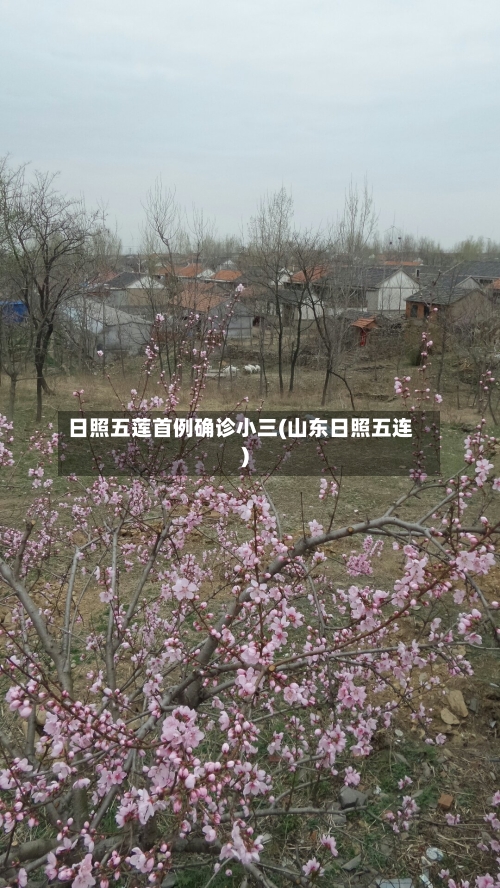 日照五莲首例确诊小三(山东日照五连)-第3张图片