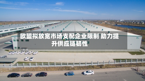 欧盟拟放宽市场支配企业限制 助力提升供应链韧性