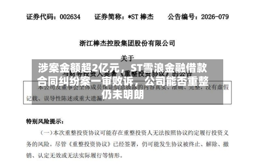 涉案金额超2亿元，ST雪浪金融借款合同纠纷案一审败诉，公司能否重整仍未明朗-第2张图片