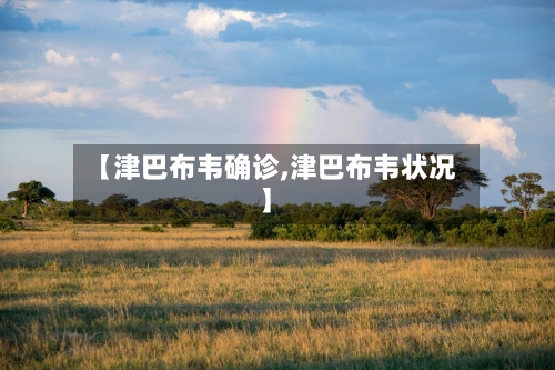 【津巴布韦确诊,津巴布韦状况】