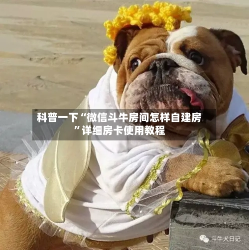 科普一下“微信斗牛房间怎样自建房”详细房卡使用教程-第2张图片