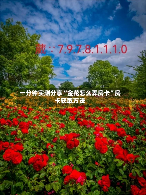 一分钟实测分享“金花怎么弄房卡”房卡获取方法-第2张图片