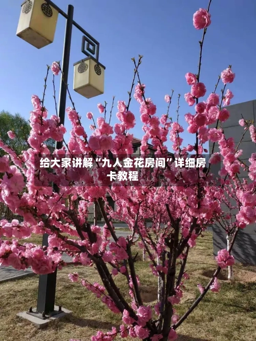 给大家讲解“九人金花房间”详细房卡教程