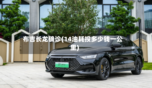 布吉长龙确诊(14油耗投多少钱一公里)