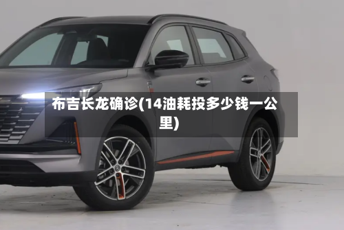 布吉长龙确诊(14油耗投多少钱一公里)-第2张图片