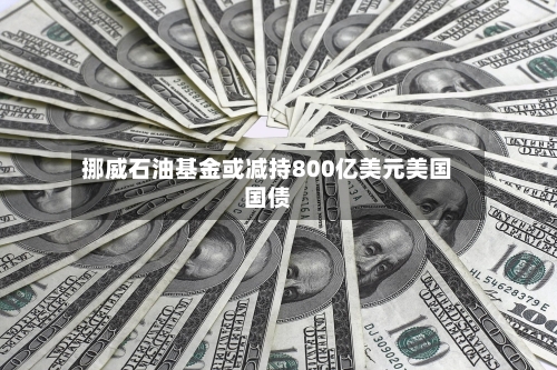 挪威石油基金或减持800亿美元美国国债