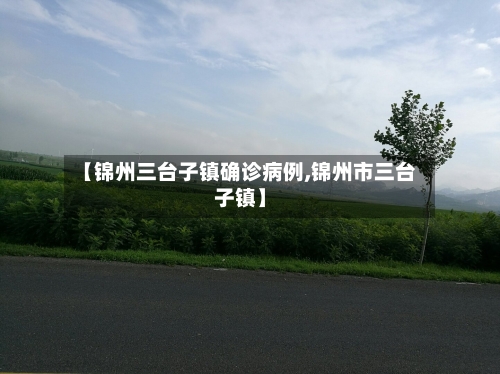 【锦州三台子镇确诊病例,锦州市三台子镇】