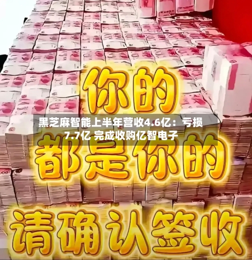 黑芝麻智能上半年营收4.6亿：亏损7.7亿 完成收购亿智电子