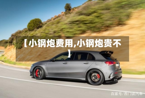 【小钢炮费用,小钢炮贵不】