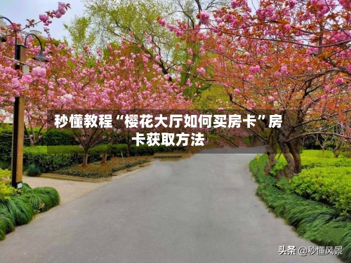 秒懂教程“樱花大厅如何买房卡”房卡获取方法-第2张图片