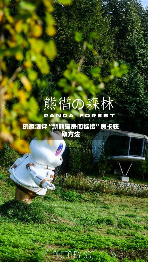 玩家测评“新熊猫房间链接”房卡获取方法-第2张图片