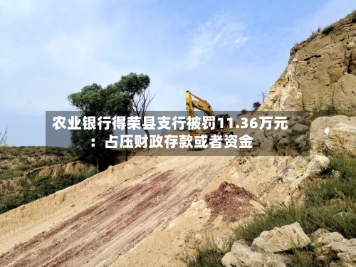农业银行得荣县支行被罚11.36万元：占压财政存款或者资金