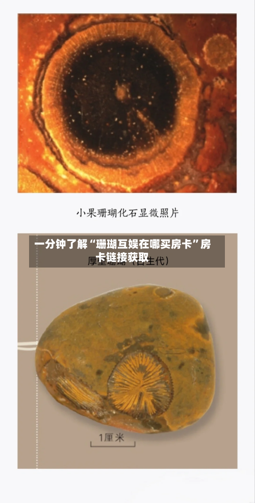 一分钟了解“珊瑚互娱在哪买房卡”房卡链接获取-第2张图片