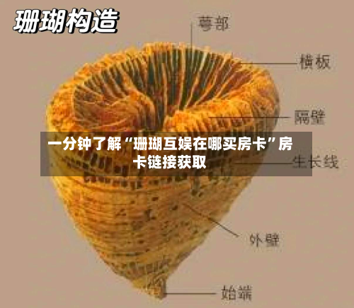 一分钟了解“珊瑚互娱在哪买房卡”房卡链接获取