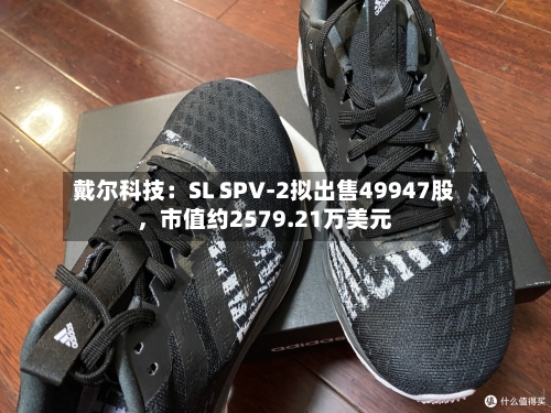 戴尔科技：SL SPV-2拟出售49947股	，市值约2579.21万美元-第3张图片