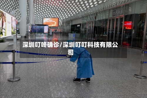 深圳叮咚确诊/深圳叮叮科技有限公司-第2张图片