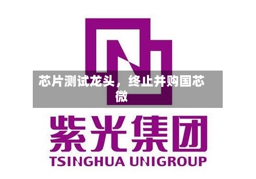 芯片测试龙头，终止并购国芯微-第3张图片