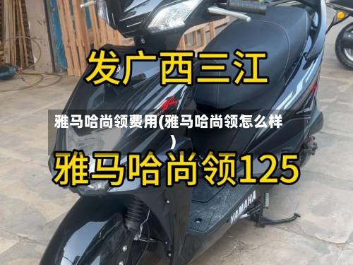 雅马哈尚领费用(雅马哈尚领怎么样)