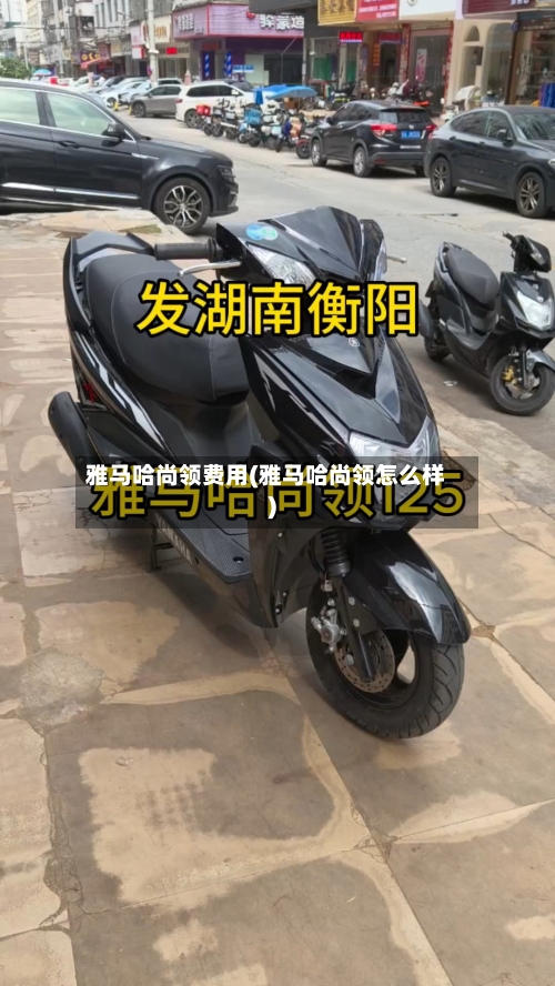 雅马哈尚领费用(雅马哈尚领怎么样)-第2张图片