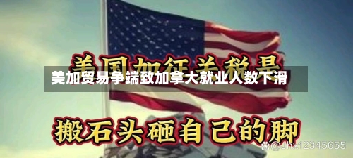 美加贸易争端致加拿大就业人数下滑