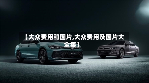 【大众费用和图片,大众费用及图片大全集】