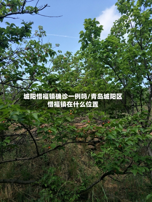 城阳惜福镇确诊一例吗/青岛城阳区惜福镇在什么位置