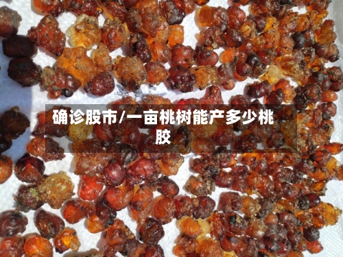 确诊股市/一亩桃树能产多少桃胶-第3张图片