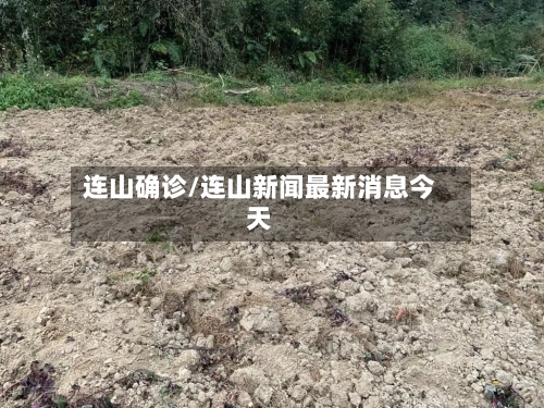 连山确诊/连山新闻最新消息今天-第2张图片