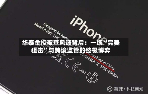 华泰金控被查风波背后：一场“完美狙击”与跨境监管的终极博弈-第2张图片