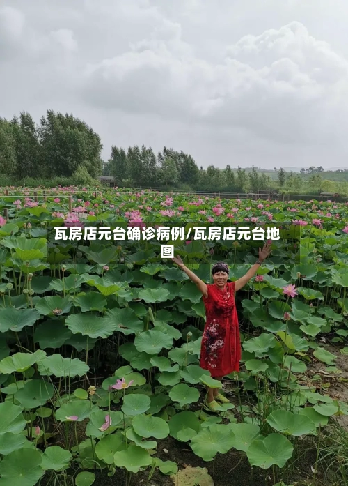 瓦房店元台确诊病例/瓦房店元台地图