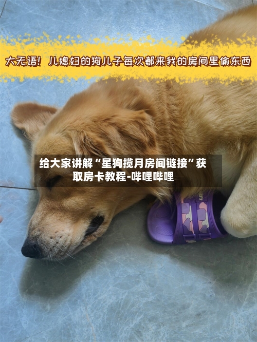 给大家讲解“星狗揽月房间链接	”获取房卡教程-哔哩哔哩-第2张图片