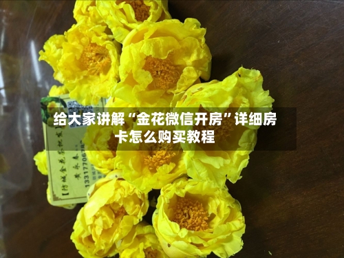 给大家讲解“金花微信开房”详细房卡怎么购买教程