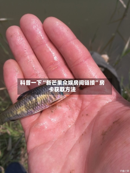科普一下“新芒果众娱房间链接”房卡获取方法-第3张图片