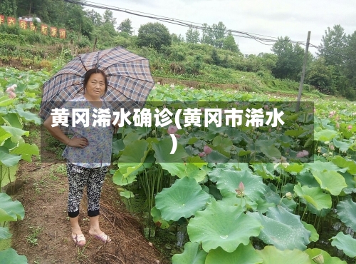 黄冈浠水确诊(黄冈市浠水)-第2张图片