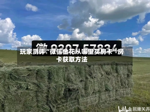 玩家测评“微信金花从哪里买房卡”房卡获取方法-第2张图片