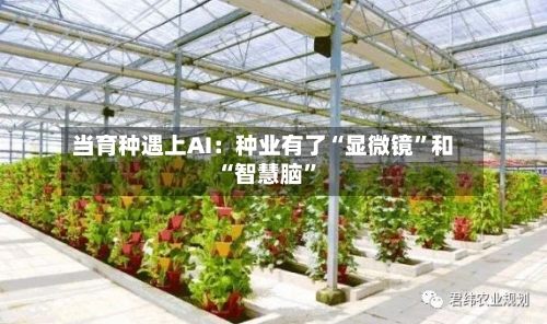 当育种遇上AI：种业有了“显微镜”和“智慧脑	”-第3张图片