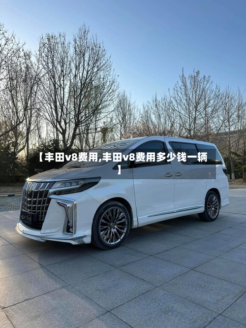 【丰田v8费用,丰田v8费用多少钱一辆】-第2张图片