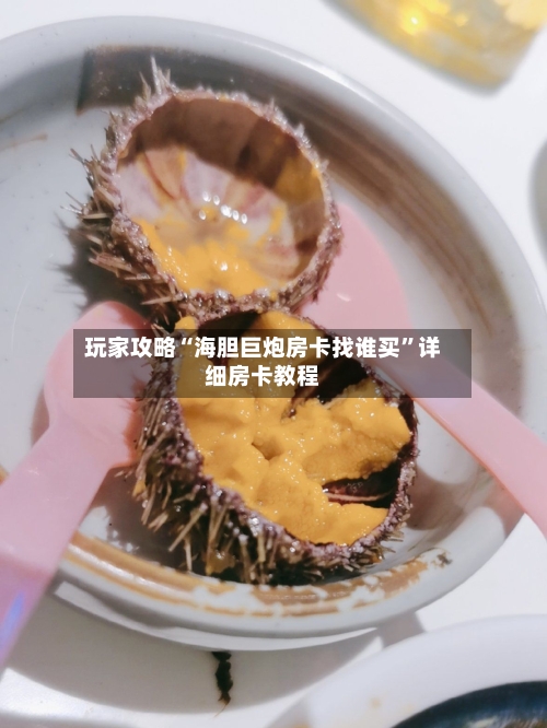 玩家攻略“海胆巨炮房卡找谁买”详细房卡教程-第2张图片