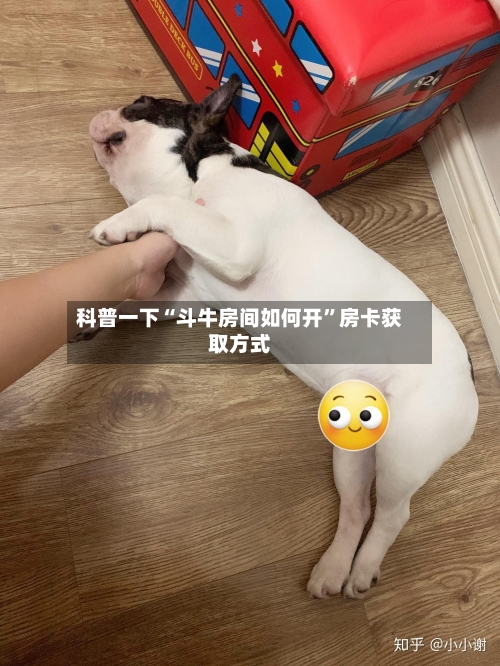 科普一下“斗牛房间如何开”房卡获取方式-第2张图片
