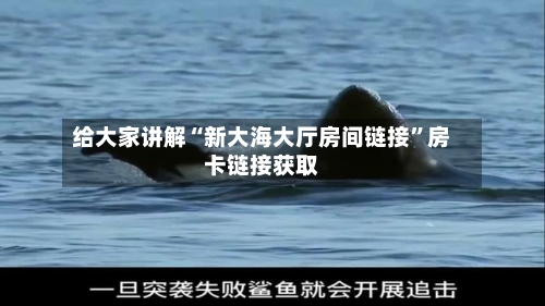 给大家讲解“新大海大厅房间链接”房卡链接获取-第2张图片