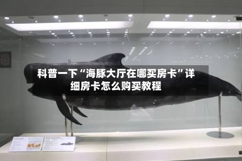 科普一下“海豚大厅在哪买房卡”详细房卡怎么购买教程-第3张图片