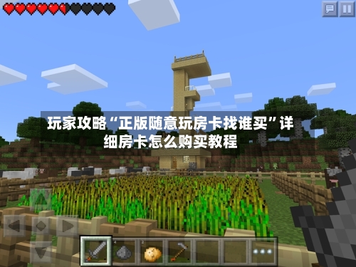 玩家攻略“正版随意玩房卡找谁买	”详细房卡怎么购买教程-第3张图片