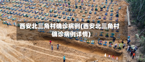 西安北三角村确诊病例(西安北三角村确诊病例详情)-第2张图片